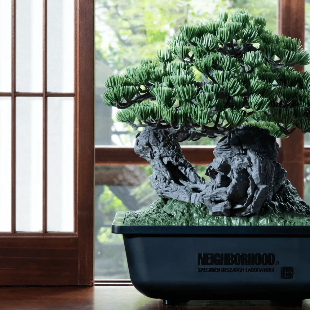 その他 SRL X BANDAI SPIRITS BONSAI MODEL KIT SRL X BANDAI SPIRITS BONSAI MODEL KIT | AREA 02 — Asia's Premier