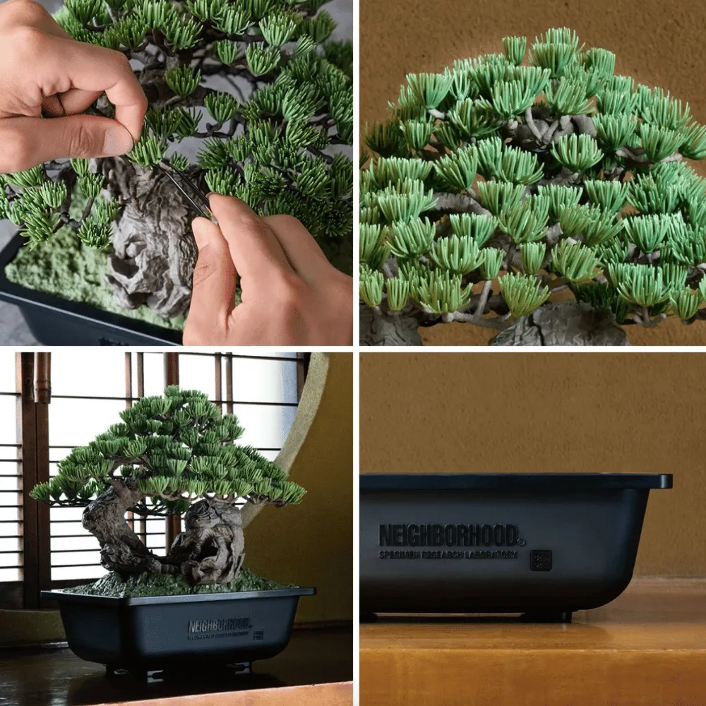 SRL X BANDAI SPIRITS BONSAI MODEL KIT | AREA 02 — 亞洲指標潮流文化