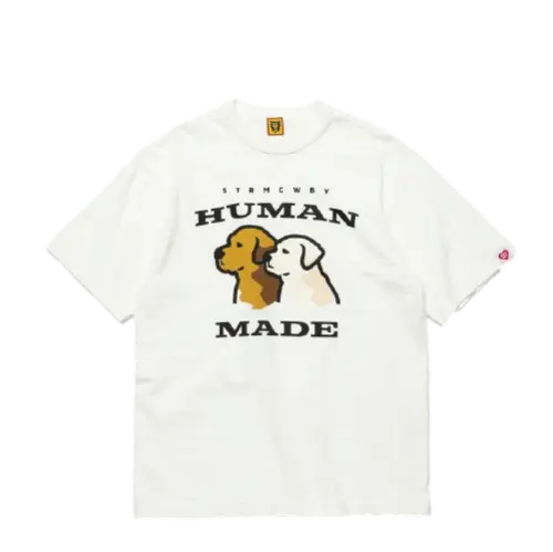 main_11771_1686197496911.webp