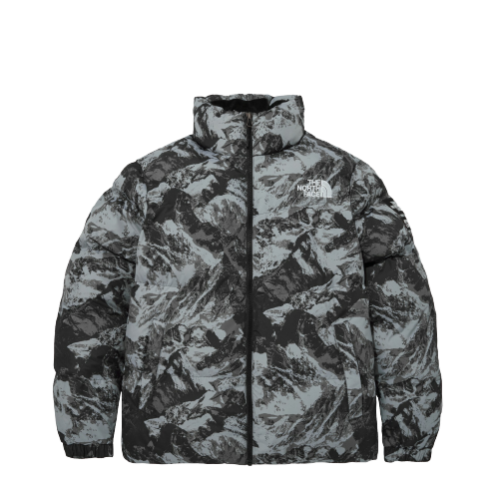 THE NORTH FACE NOVELTY ASPEN ON BALL PUFFER JACKET GREY | AREA 02