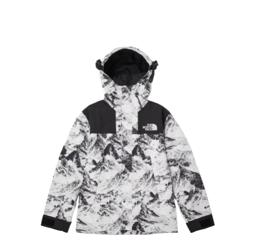 THE NORTH FACE NOVELTY ECO GORE-TEX MOUNTAIN JACKET WHITE | AREA 02